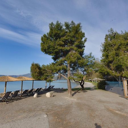 Kalafatis Beach Home イテア エクステリア 写真