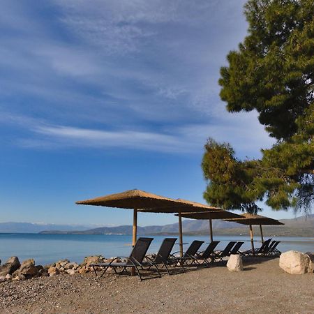 Kalafatis Beach Home イテア エクステリア 写真