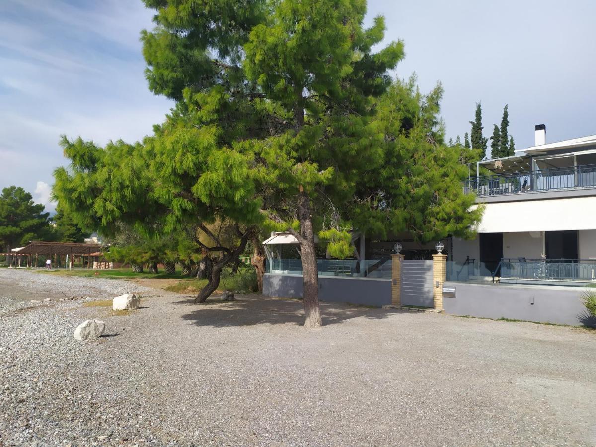 Kalafatis Beach Home イテア エクステリア 写真